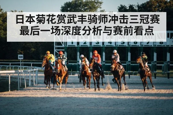 日本菊花赏武丰骑师冲击三冠赛最后一场深度分析与赛前看点